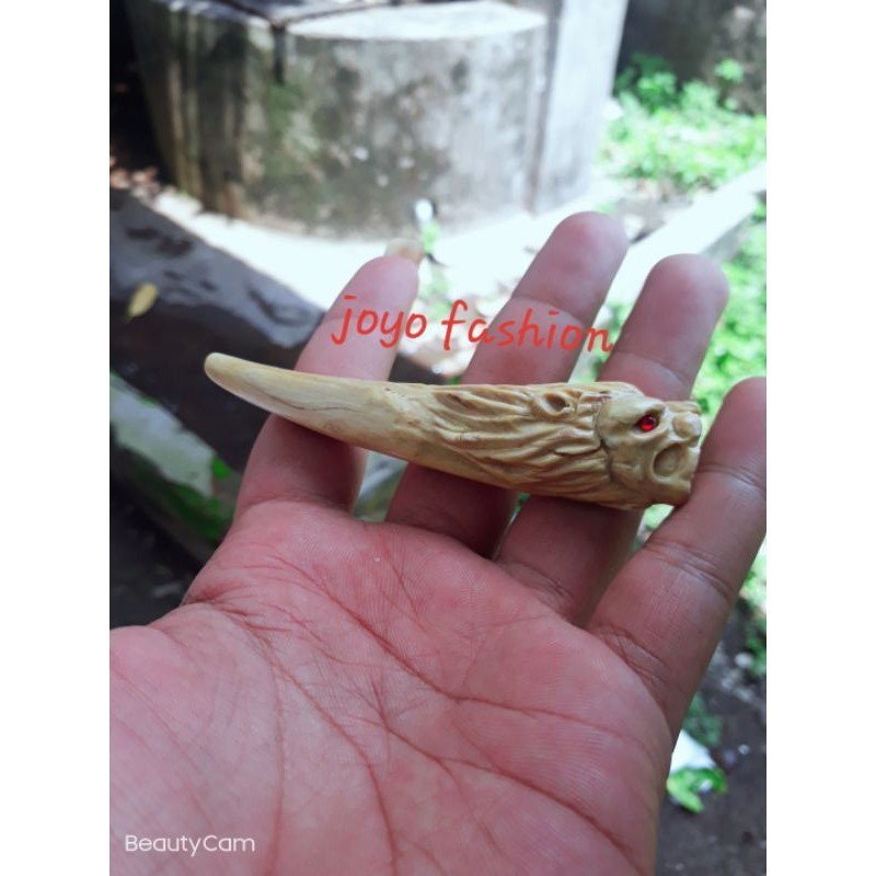 PIPA ONCE AKAR BAHAR PUTIH GADING UKIR SINGA