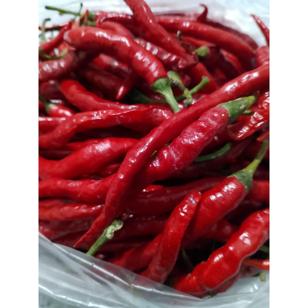 

Paket Cabe merah keriting segar padang aro 250gr-1000gr