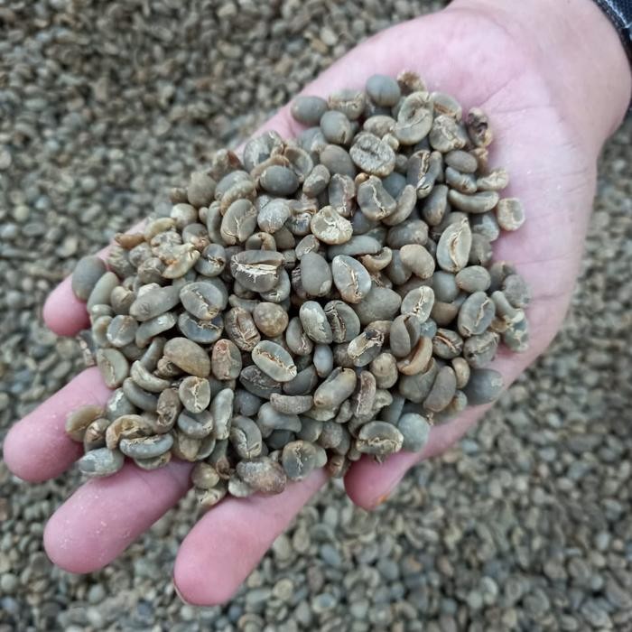 

green bean / biji kopi arabika java puntang comesial 1kg - whethull