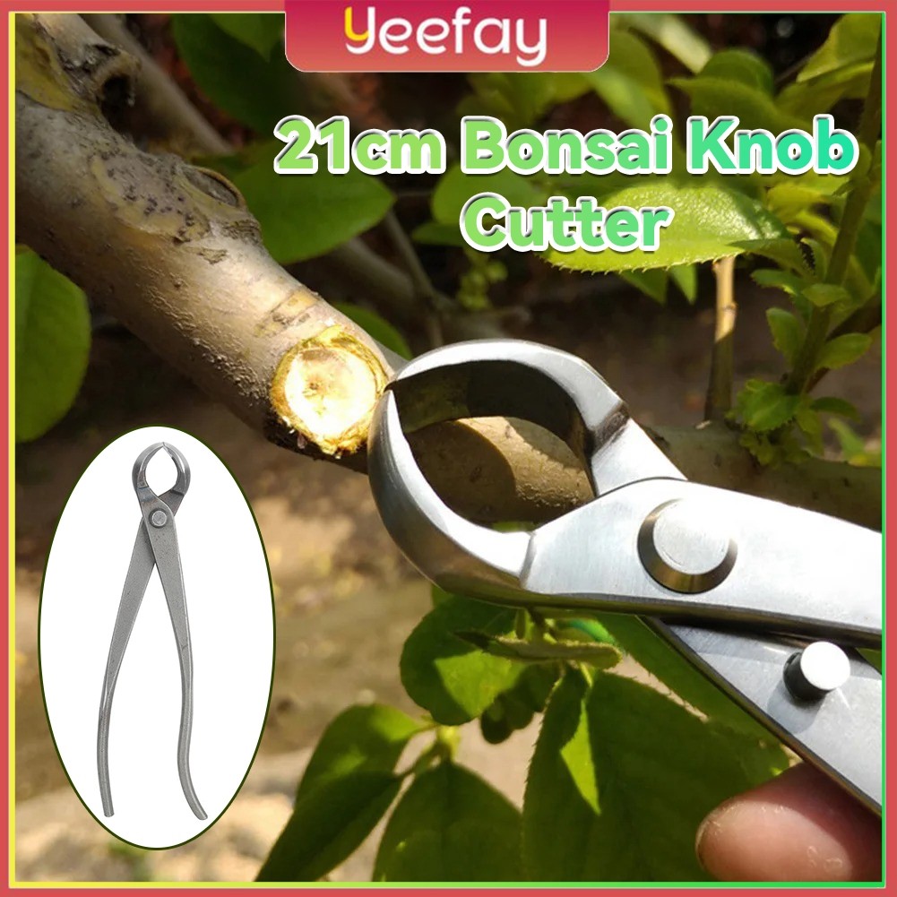 Catok Bonsai Cembung 21cm Knob Cutter/Mirring Cutter Baja Tahan Karat Penuh Catut Cembung Tanaman Bo