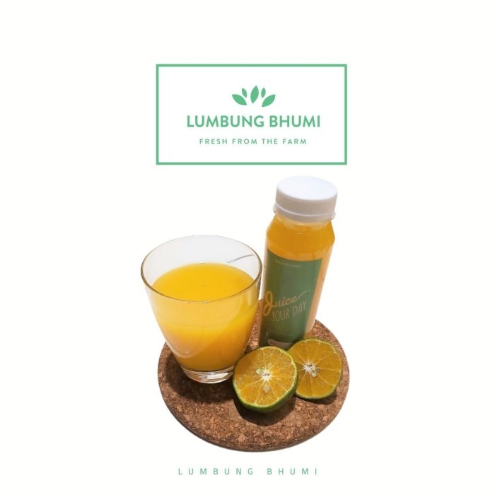 

Lumbung Bhumi - Jus Buah Jeruk 500 ml ( Juice Your Day )