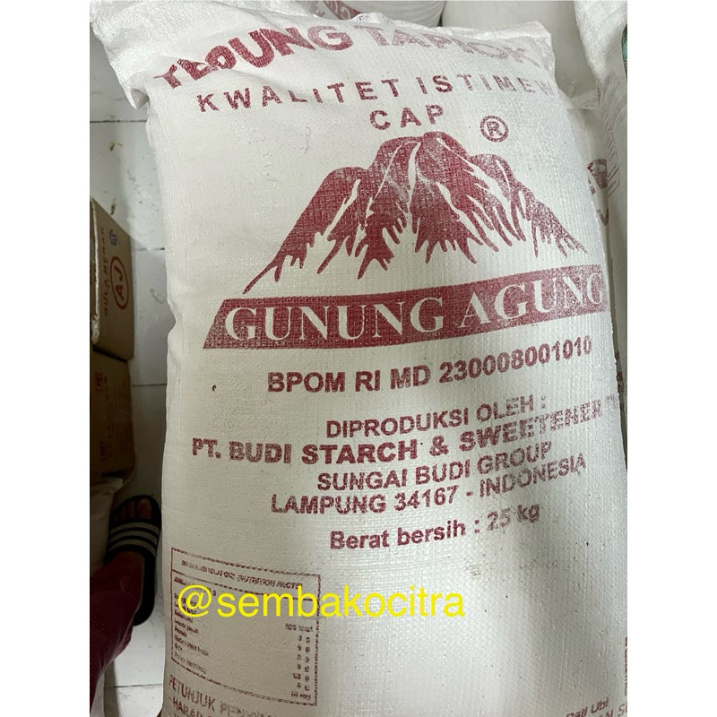 

TEPUNG TAPIOKA CAP GUNUNG AGUNG 25KG
