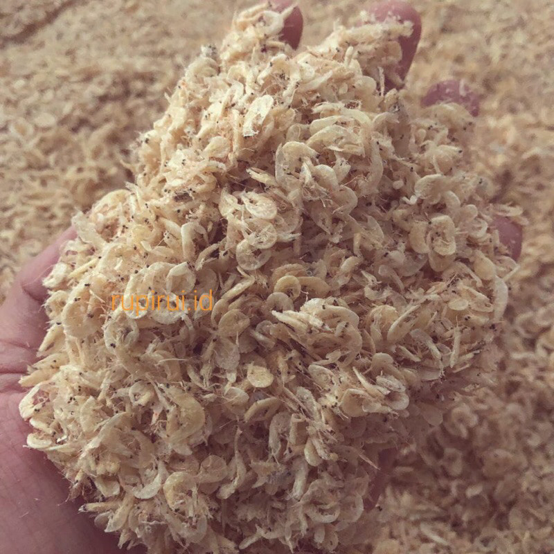 

Ikan Asin Rebon Kering Murah 1 Kg Rebon Grosir