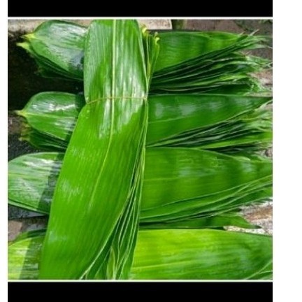 

New daun bambu jumbo daun bambu bu bungkus bacang 65 lmbar
