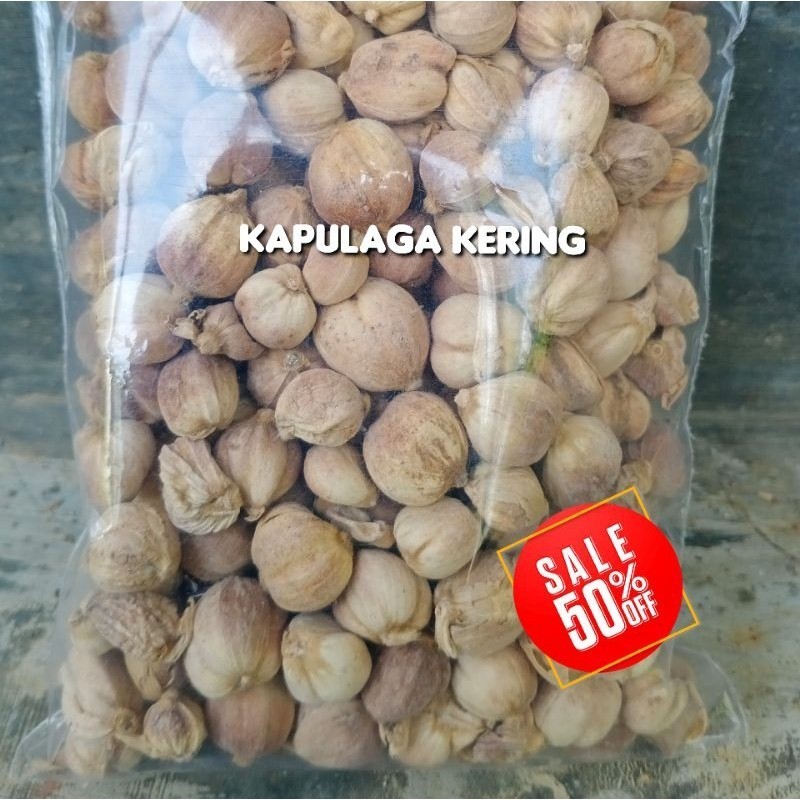 

HSN-01 - Kapulaga Lokal Kualitas Ekspor – Segar, Wangi, 1 kg