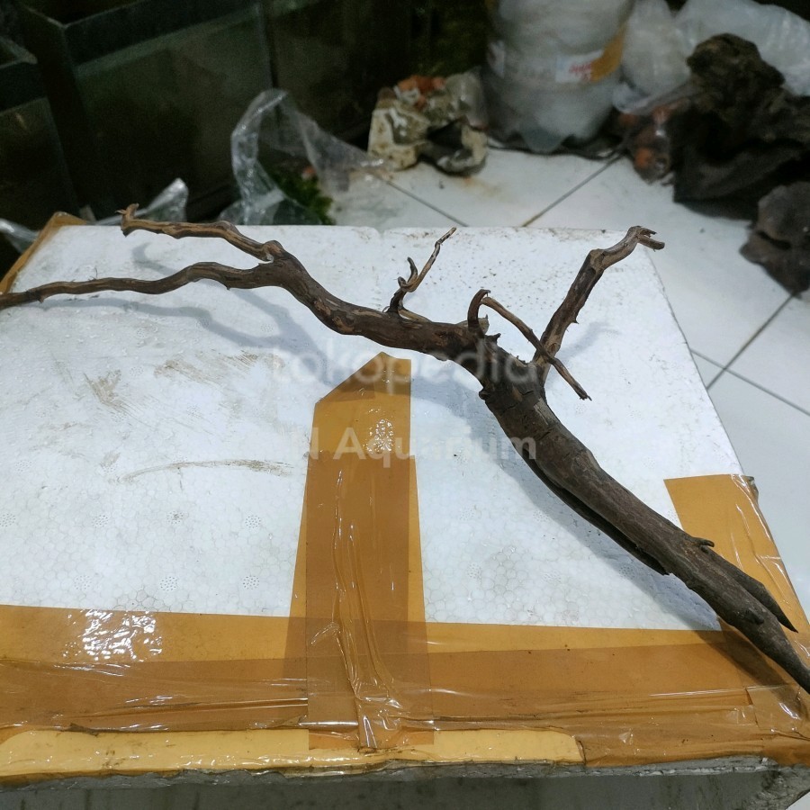 Akar Rasamala Hiasan Aquarium Aquascape Size  S