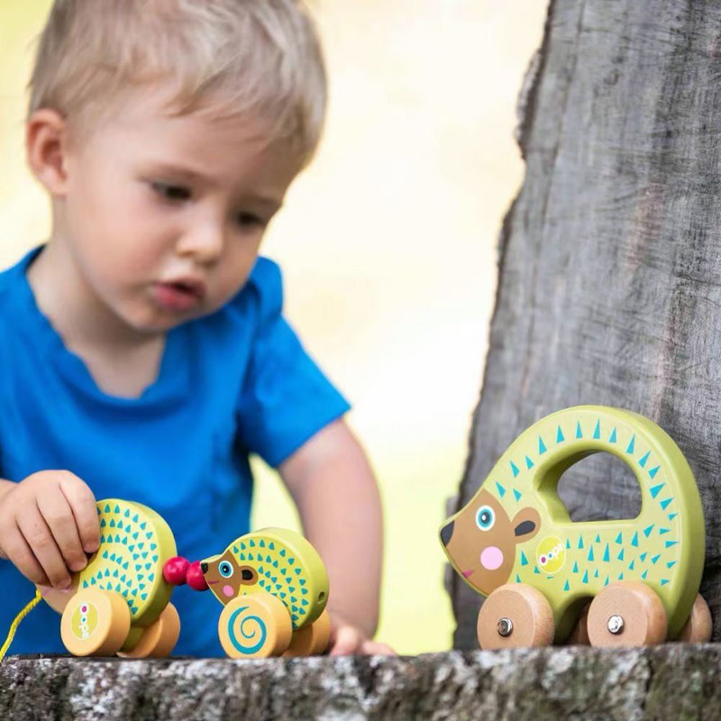 Pull Along Walking Toy Wood Animal Walker Toys for Boys and Girls Early Learning and Motor Skills To