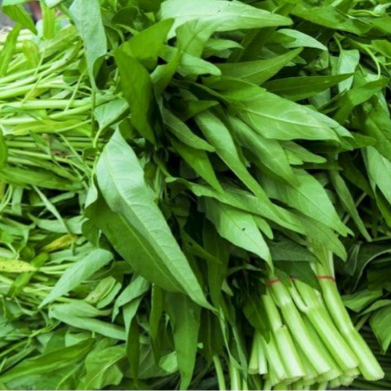 

Sayur Kangkung 5 Ikat 700 g