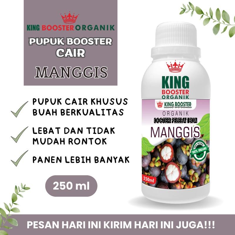 Pupuk Cair 250ml Pelebat Buah Manggis Pupuk Organik Pelebat Booster Manggis  Pupuk Pelebat Buah