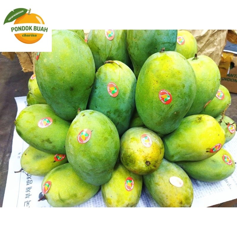 

Mangga Harum manis super Grade A+ perkilo