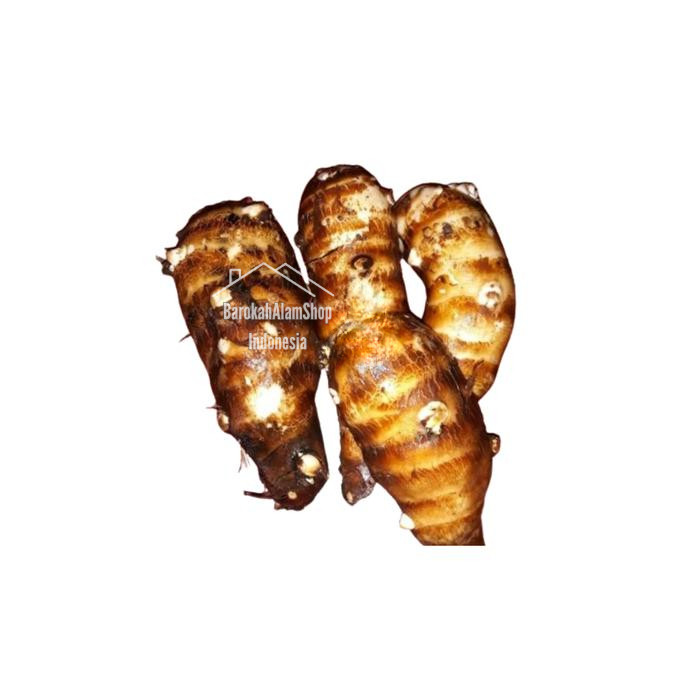 

Umbi Talas Segar 1 Kg - Ubi Talas Pulen talas konsumsi