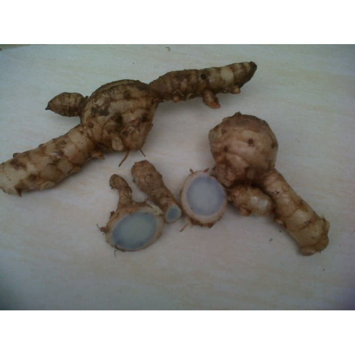 

Temu hitam segar 1 kg - temu ireng fresh S.A_96