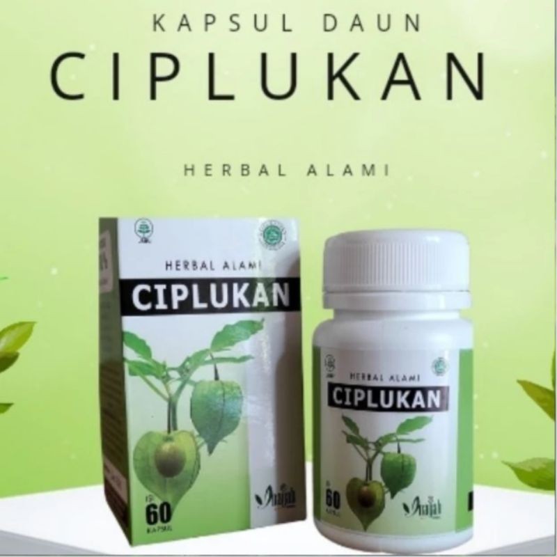 (PASTI MURAH) Ciplukan - Kapsul Ciplukan Kapsul Ekstrak Ciplukan Herbal Alami