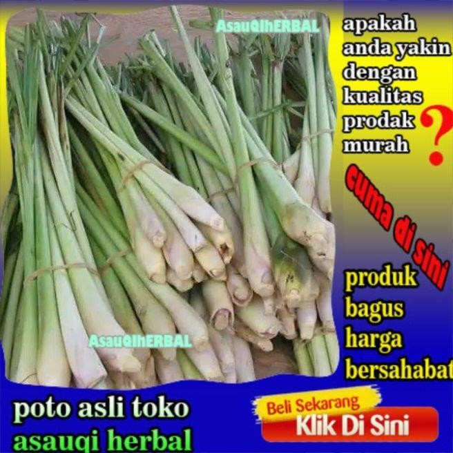 

promo sereh segar super 1 kg ready