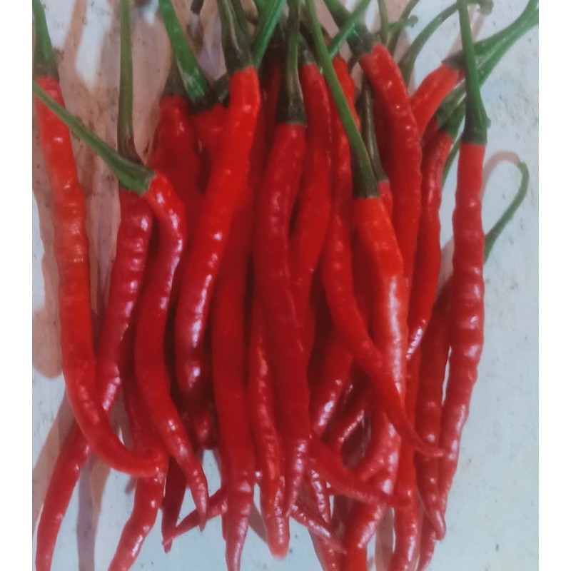 

Paket cabe kriting merah 1000g