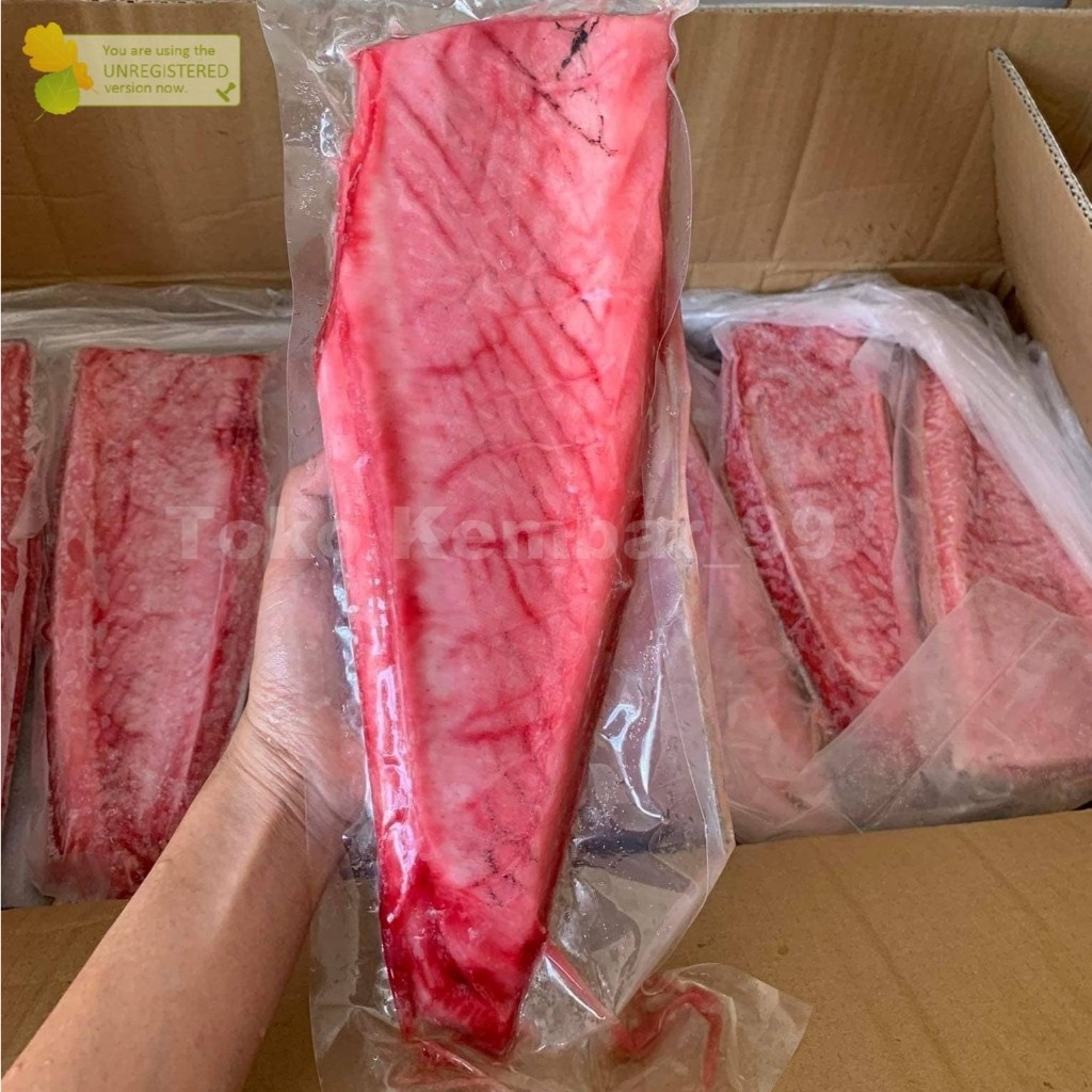 

Ikan Tuna Segar 1Kg Tuna Belly Tuna Fillet Segar Premium