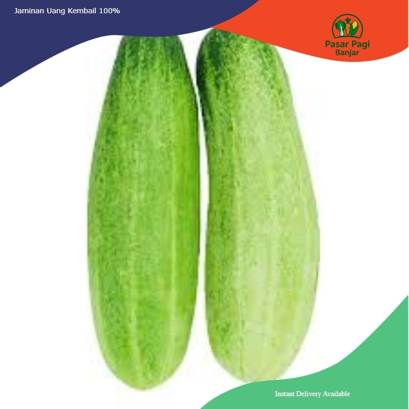 

Timun Segar / Berat 1 kg