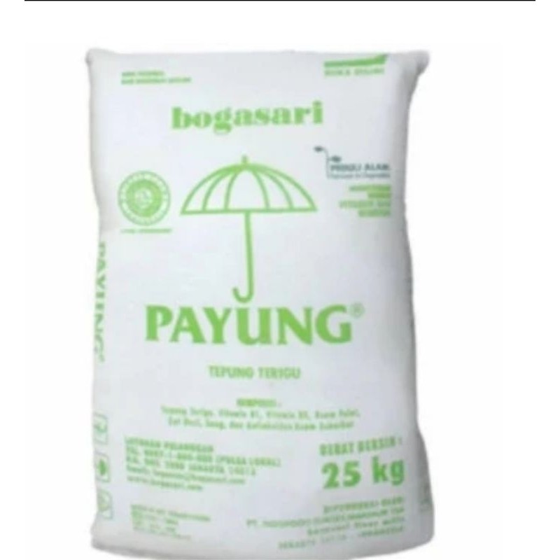 

TEPUNG TERIGU PAYUNG 25 KG