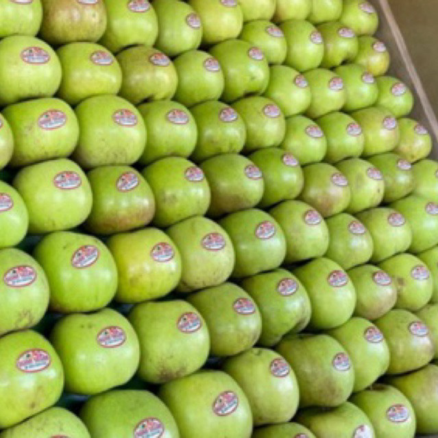 

APEL MALANG MADU/MANALAGI 1KG ISI 8-13 UKURAN JUMBO PILIHAN