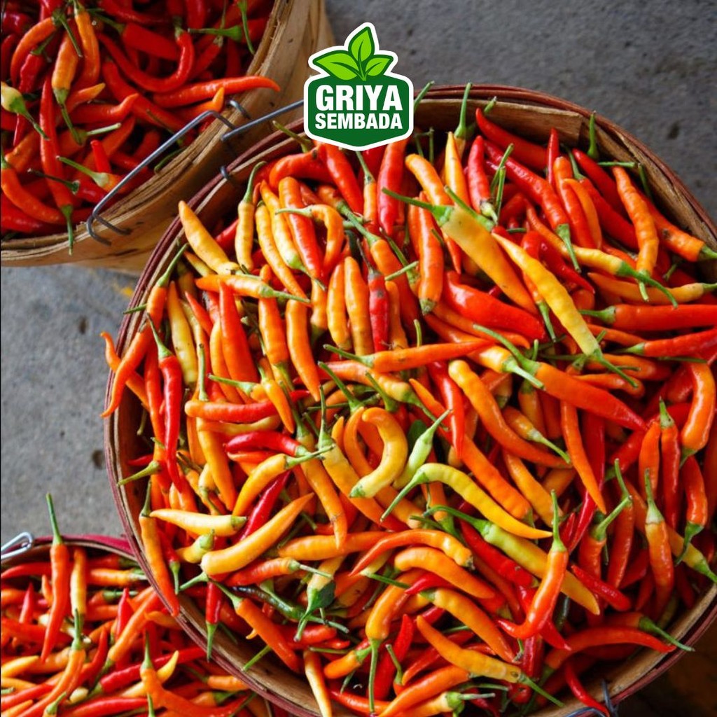 

Cabe Rawit Merah 100gr - Griya Sembada Kirim Instant /Sameday/Grabfood