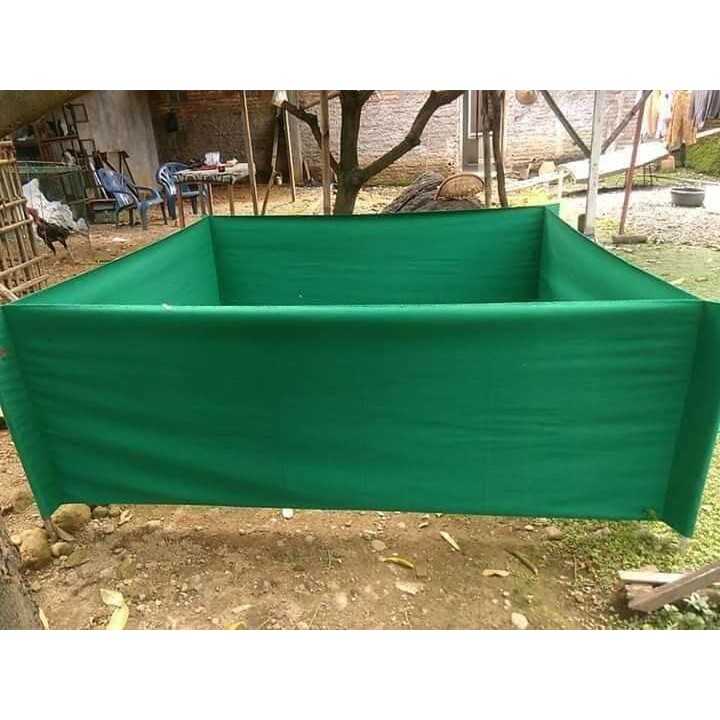 geber ayam murah, ukuran 2x2 untuk ayam adu sebelum laga