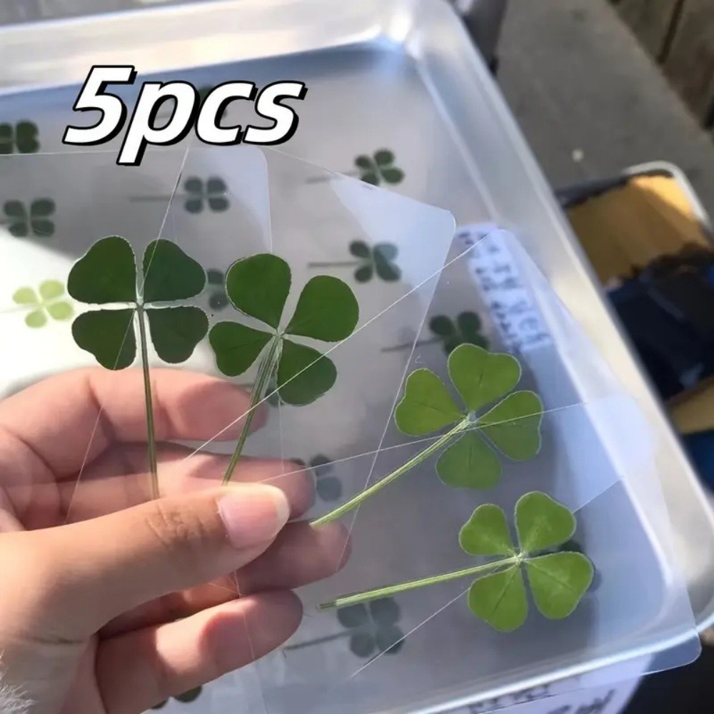 

5Pcs Lucky Clover Postcards Natural Grass Transparent Wishing Cards Ideal for Bookmarks Decorations Perfect Holiday Gifts Cards