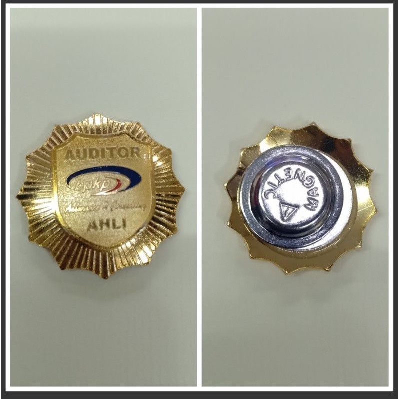 PIN AUDITOR AHLI /PIN BPKP/ BROS BPKP/ BROS AUDITOR/ PIN/ BROS