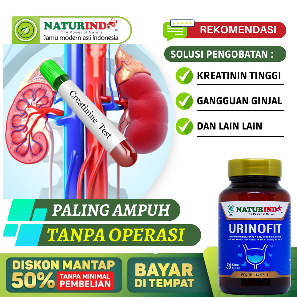 Obat Kreatinin Tinggi, Obat Kreatin Paling Ampuh, Obat Penurun Kadar Ureum Kreatinin, Obat Kreatinin