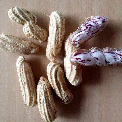 

Best Seller kacang tanah mentah kulit 1 kg