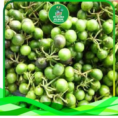 

Sayur Leunca / Lencak per 250 gram