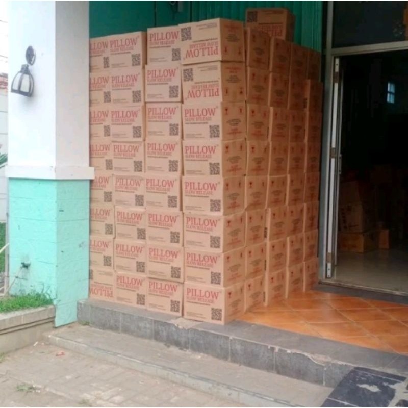 12Box (120 sashet) Pupuk pillow slow release