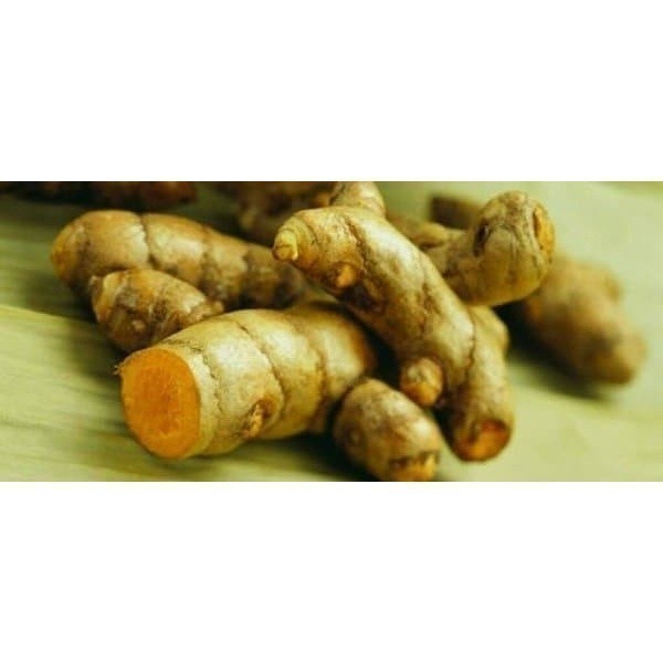 

Promo COD Promo Temu Lawak Segar 1kg fresh Nakula_Organik