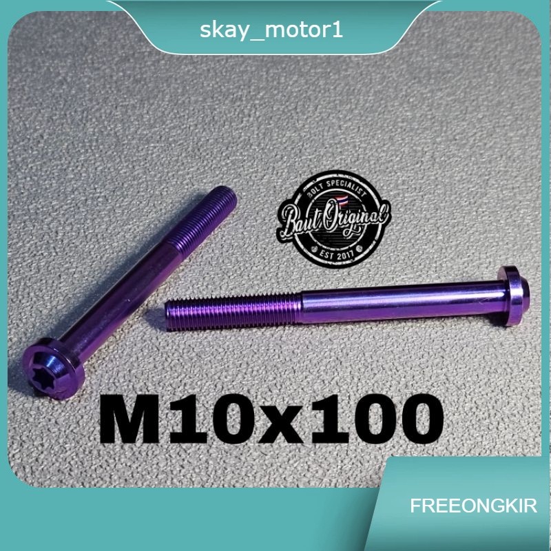 baut probolt titan 10x100 drat 14 panjang 10 cm payung big head