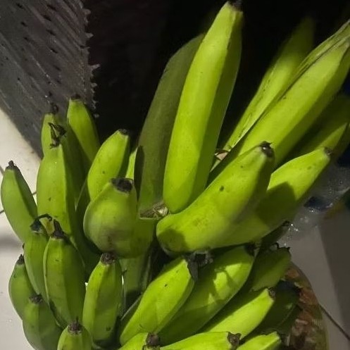 

Buah Pisang Mentah TP PB KG Pisang Bangkaulu Fresh