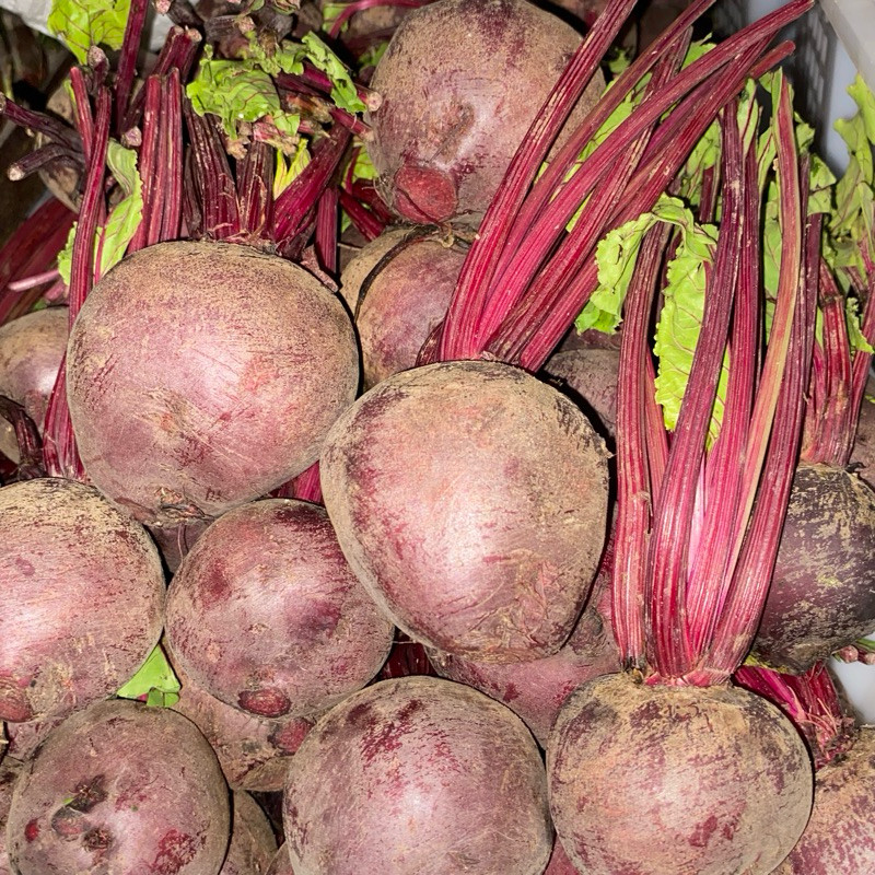 

Buah Bit/Beetroot Super 1kg Fresh & Sehat | Fresa Mart