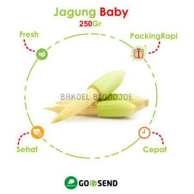 

JAGUNG MUDA / JANTEN / BABY CORN / FRESH VEGETABLES / VEGETABLE / SAYUR SAYURAN SEGAR