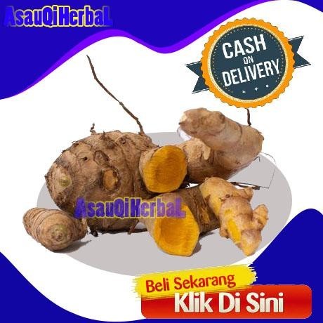 

promo KUNYIT BESAR SEGAR OBAT LAMBUNG ready