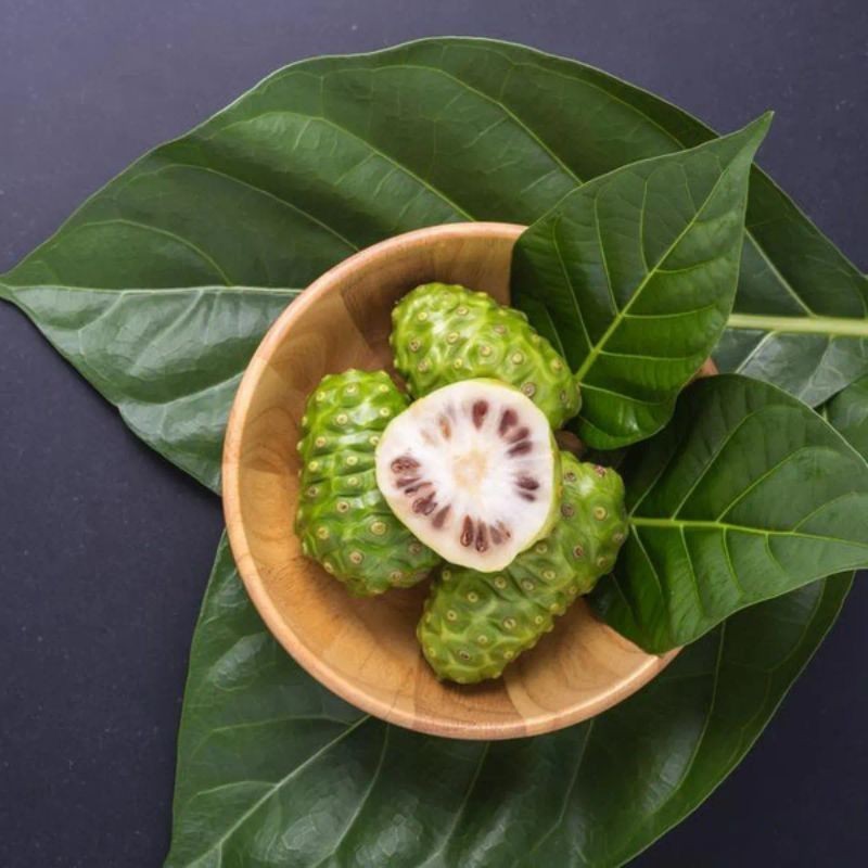 

PAKET HERBAL BUAH PACE DAN DAUN MENGKUDU SEGAR DI AMBIL LANGSUNG