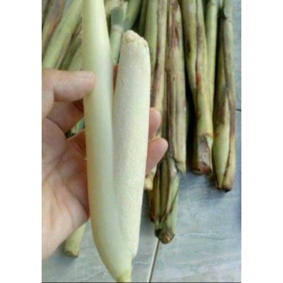 

Ready stok New turubuk sayur segar 500gram