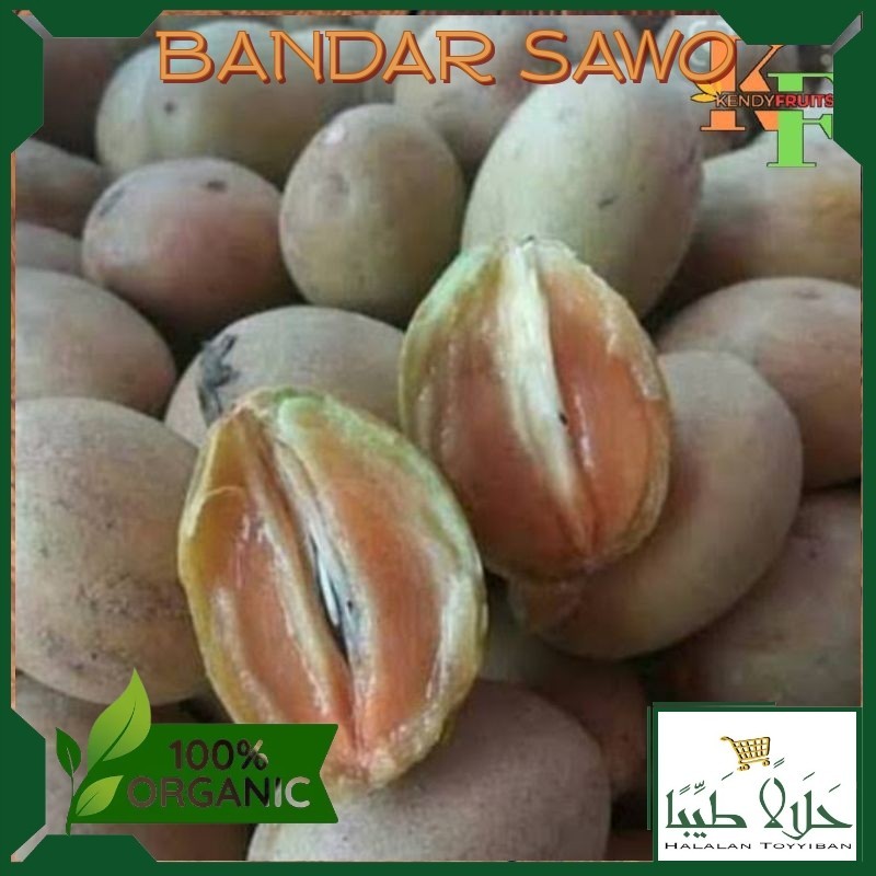 

BANDAR BUAH SAWO MADU FRESH 1KG