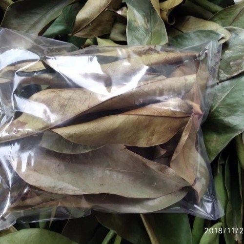 

Herbal DAUN SIRSAK KERING 100 lembar (STP)