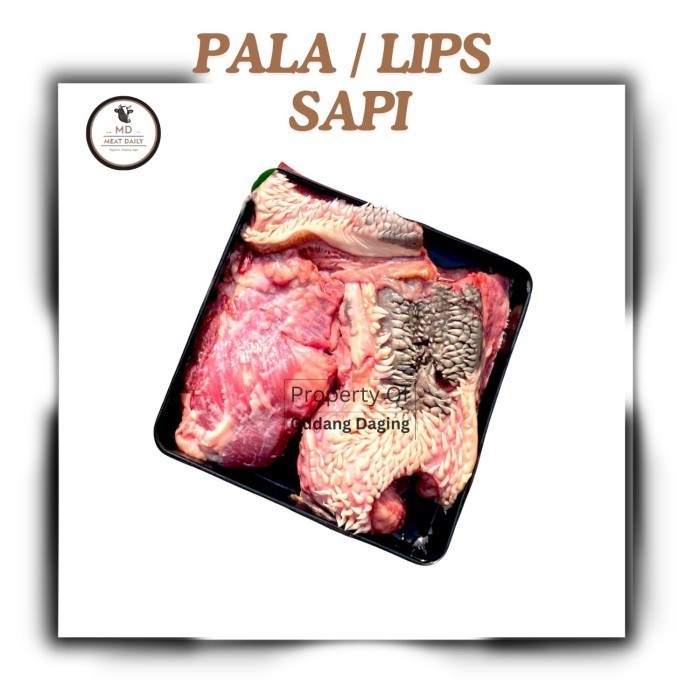 

Daging Pala/Pipi 500gr - Beef Lips Sapi | Gudang Daging