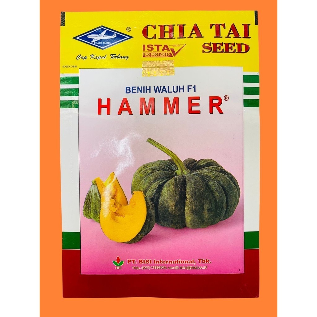 Benih Waluh Hibrida HAMMER  F1