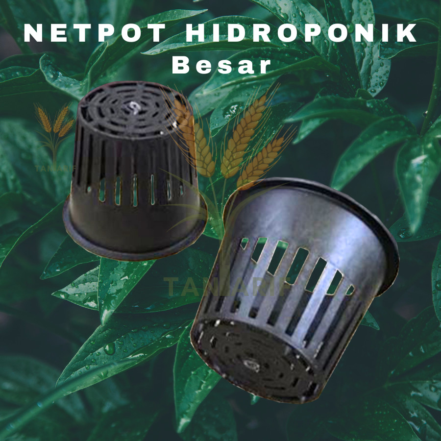Netpot Hidroponik Besar | Netpot | Jaring Hidroponik