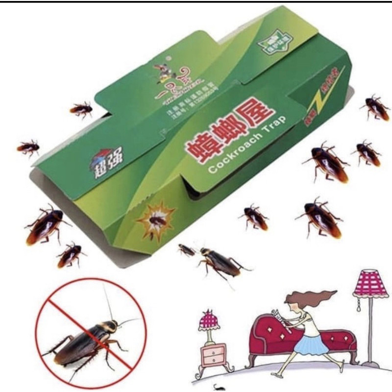 Perangkap kecoa cicak mirip hoy hoy ampuh