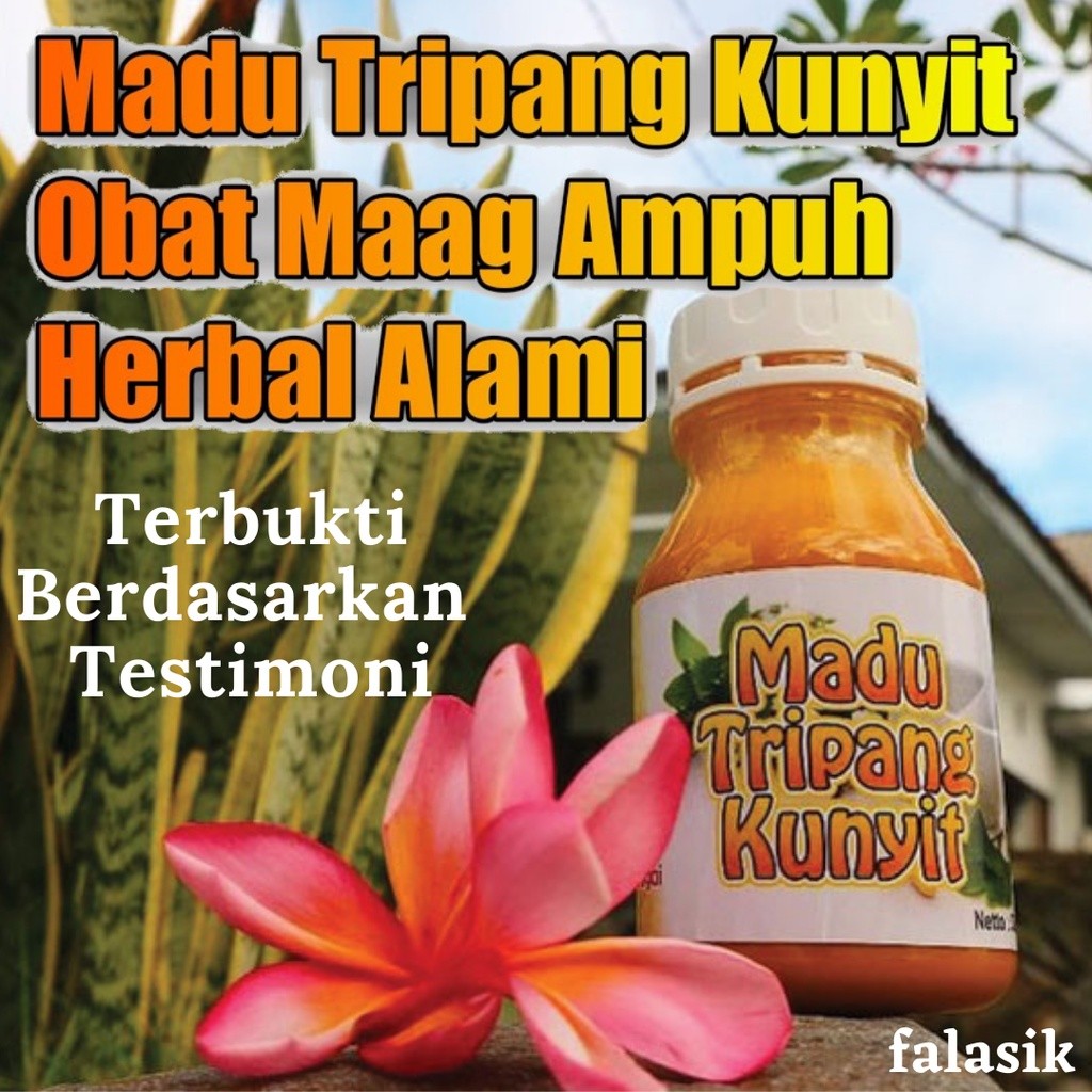 

Madu Tripang Kunyit untuk Maag dan Asam Lambung