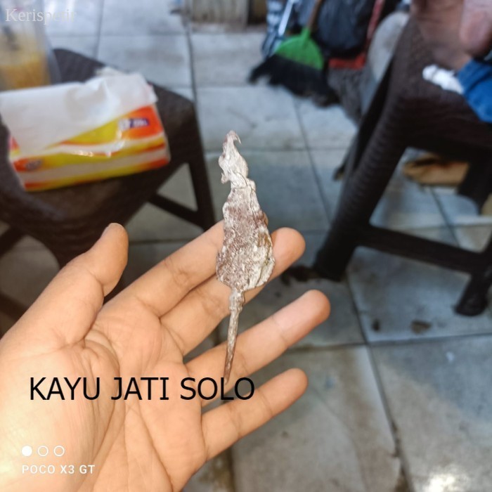 

keris semar kuncung sepuh kediri kamarogan Antikan KJS63 murah antik