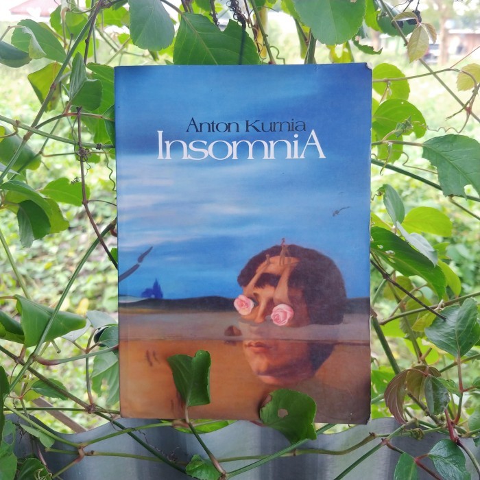 

Insomnia: Kumpulan Cerpen - Anton Kurnia