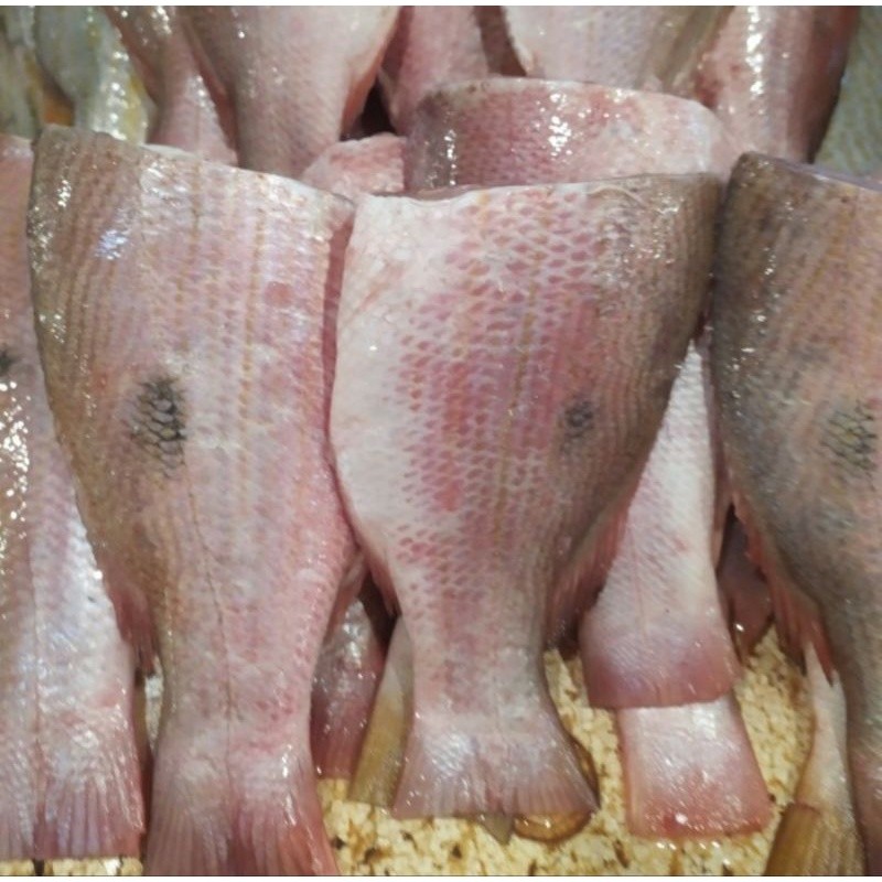

Ikan Kakap Putih Bagian Badan Ekor Fresh 1.0kg