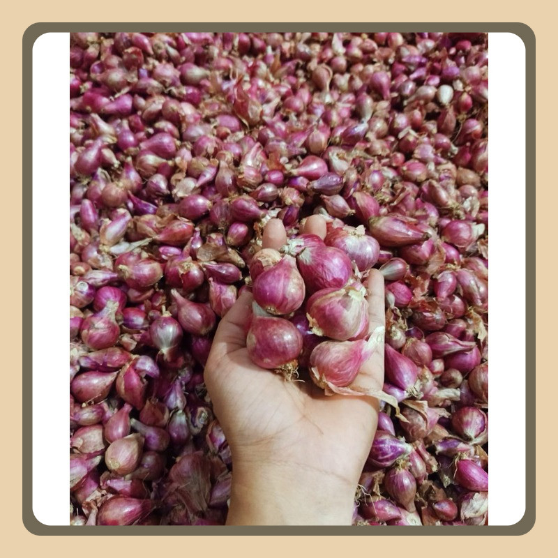 

BAWANG MERAH lokal 1kg